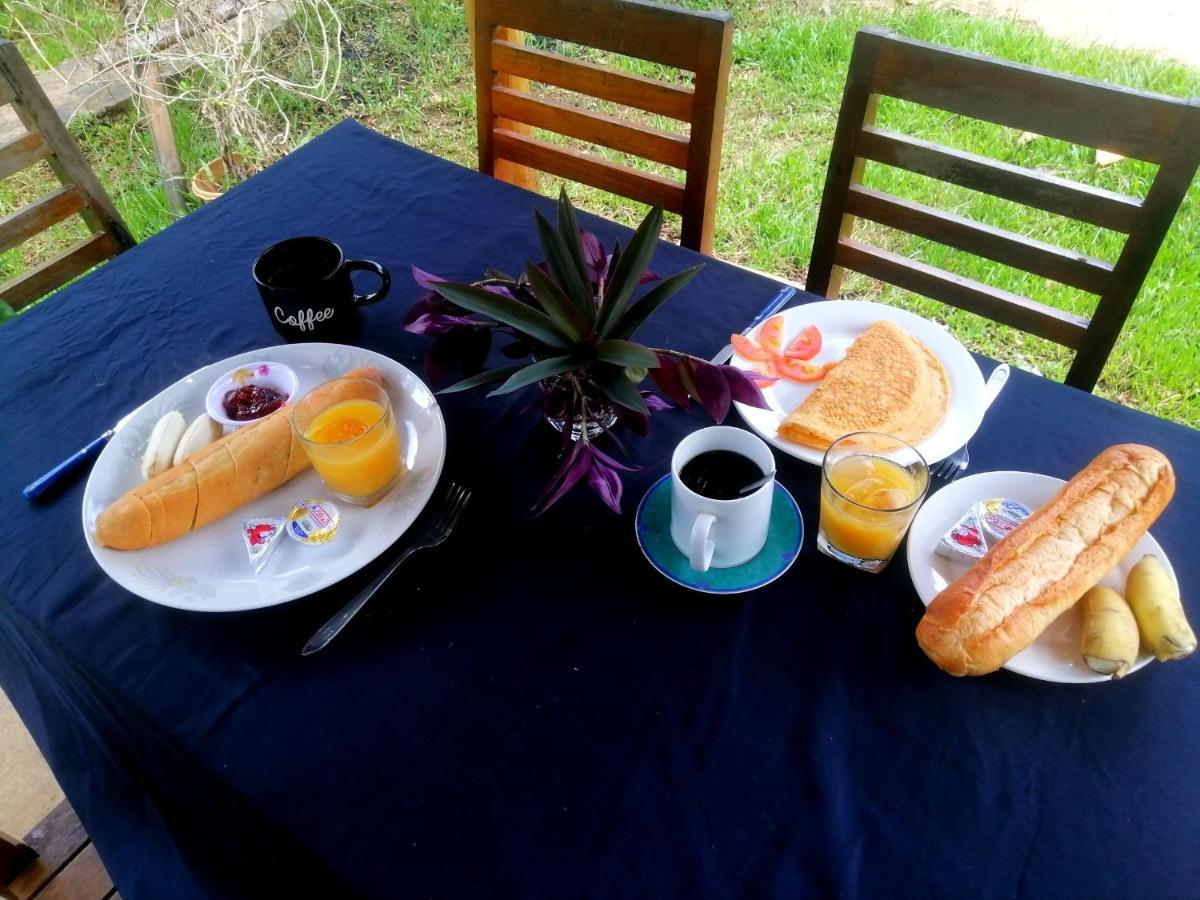 Tortuga Guesthouse カンポット エクステリア 写真